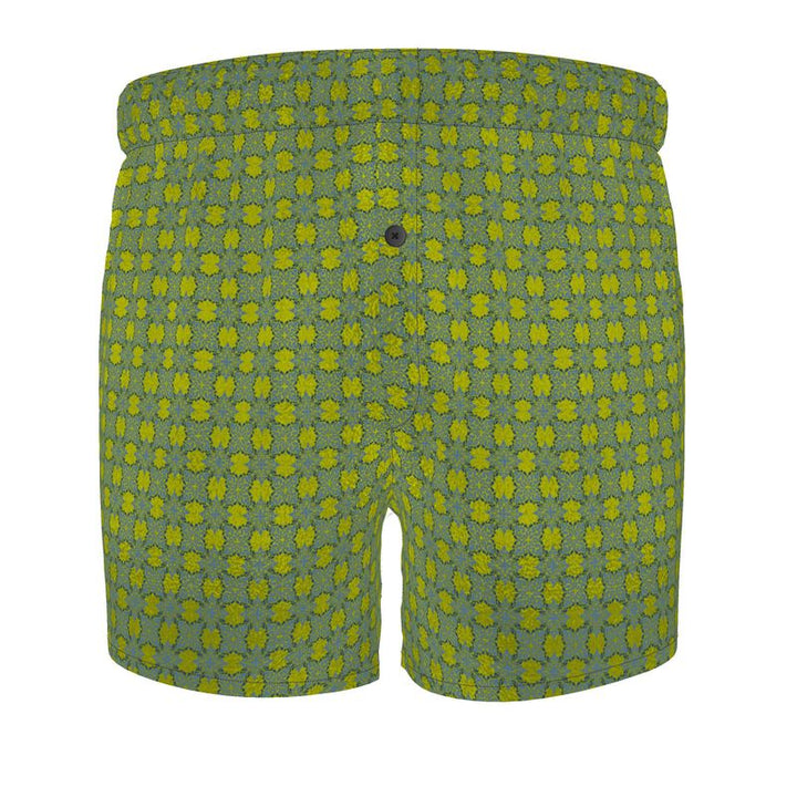 Rizzlly Coastal Breeze Boxer Shorts